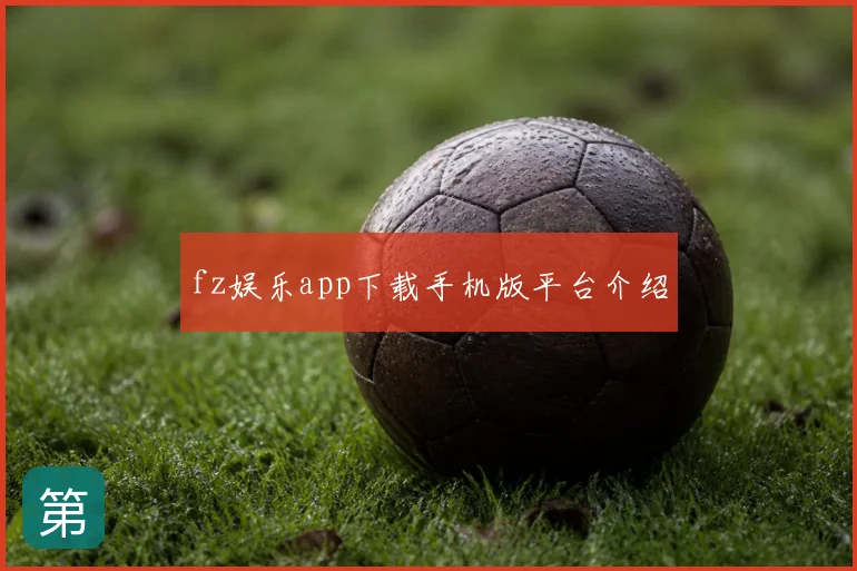 fz娱乐app下载手机版平台介绍
